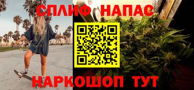 индика Краснознаменск